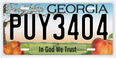 GA license plate PUY3404