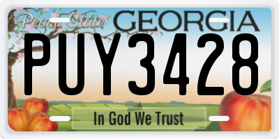 GA license plate PUY3428
