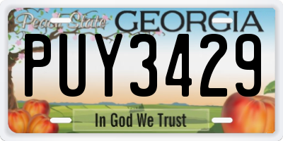 GA license plate PUY3429