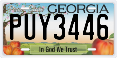 GA license plate PUY3446
