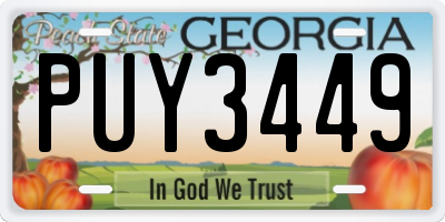 GA license plate PUY3449