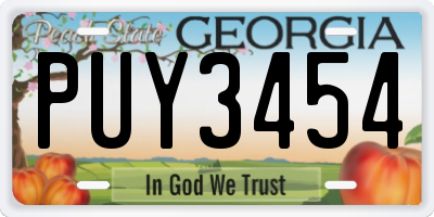 GA license plate PUY3454