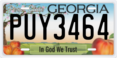 GA license plate PUY3464