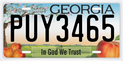 GA license plate PUY3465
