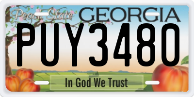 GA license plate PUY3480