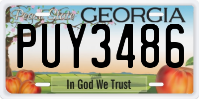 GA license plate PUY3486