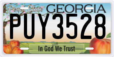 GA license plate PUY3528