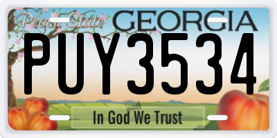 GA license plate PUY3534