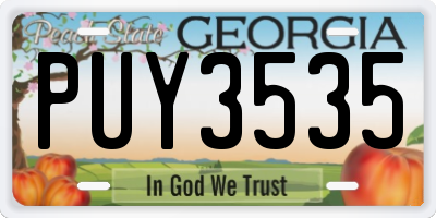 GA license plate PUY3535