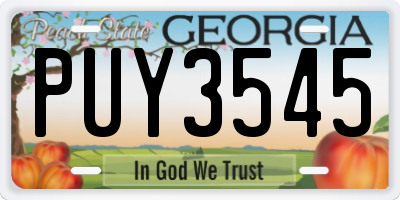 GA license plate PUY3545