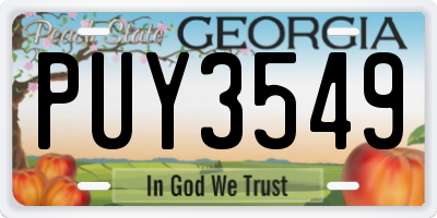 GA license plate PUY3549