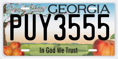 GA license plate PUY3555