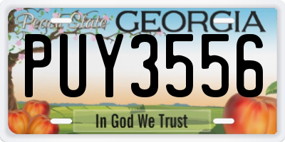 GA license plate PUY3556