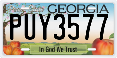GA license plate PUY3577