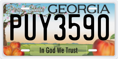 GA license plate PUY3590