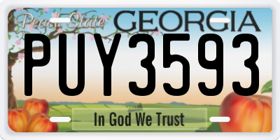 GA license plate PUY3593