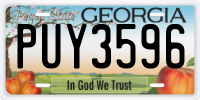 GA license plate PUY3596