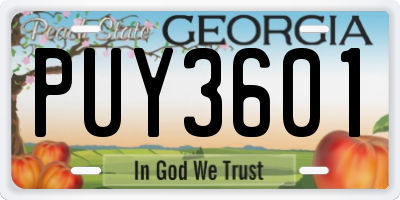 GA license plate PUY3601
