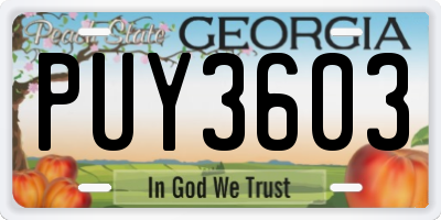 GA license plate PUY3603