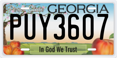 GA license plate PUY3607