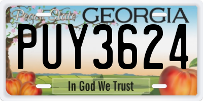 GA license plate PUY3624