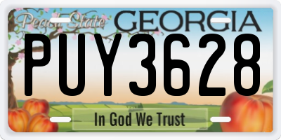GA license plate PUY3628