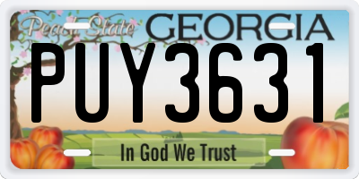 GA license plate PUY3631
