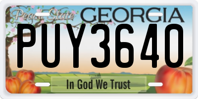 GA license plate PUY3640