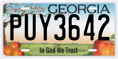 GA license plate PUY3642