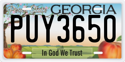 GA license plate PUY3650