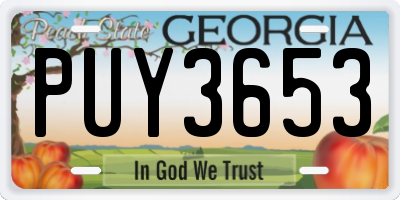 GA license plate PUY3653