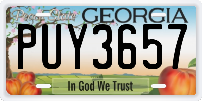GA license plate PUY3657