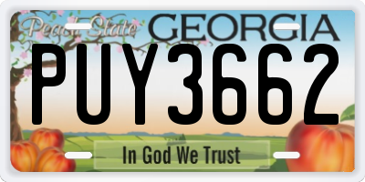 GA license plate PUY3662