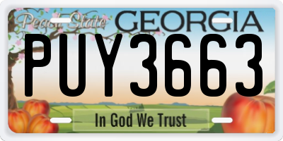 GA license plate PUY3663