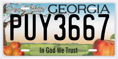 GA license plate PUY3667