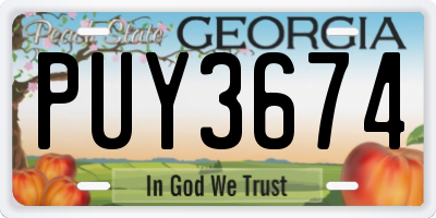 GA license plate PUY3674