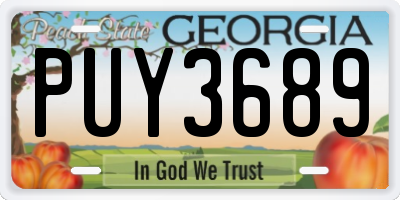GA license plate PUY3689