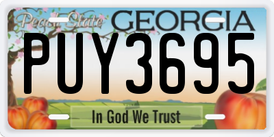GA license plate PUY3695