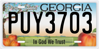 GA license plate PUY3703
