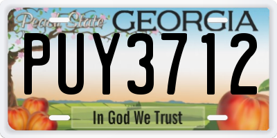 GA license plate PUY3712