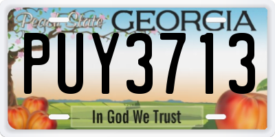 GA license plate PUY3713
