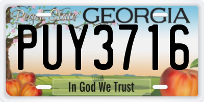 GA license plate PUY3716