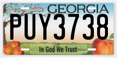 GA license plate PUY3738