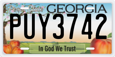GA license plate PUY3742