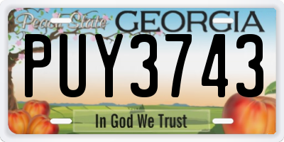 GA license plate PUY3743