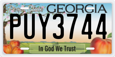 GA license plate PUY3744
