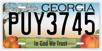 GA license plate PUY3745