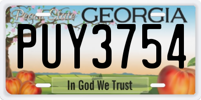 GA license plate PUY3754