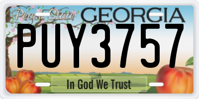 GA license plate PUY3757