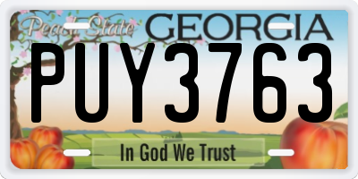 GA license plate PUY3763
